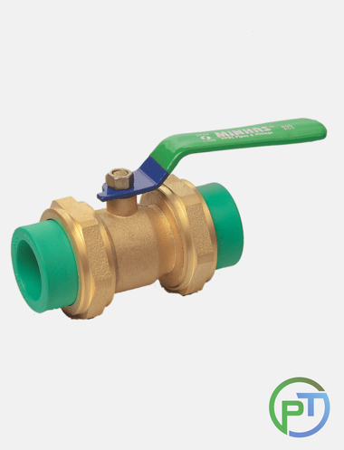 Valve with Union Plastic to Plastic 110mm